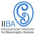 iiba