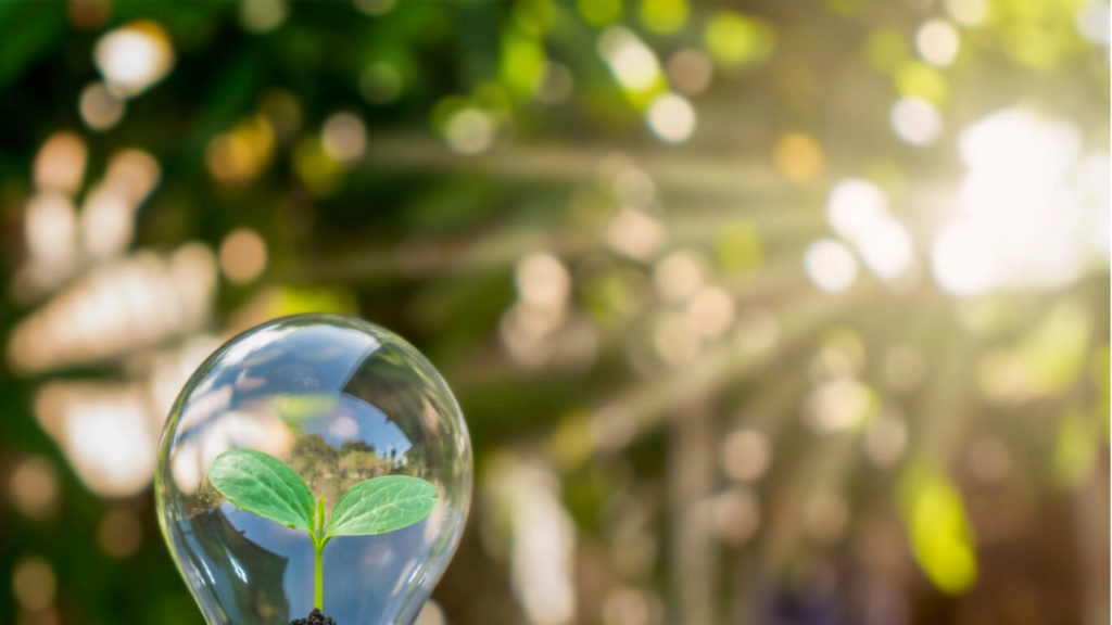 L'Analyse Bioénergétique par l'Institut d'Analyse en Bioénergétique France Sud