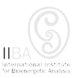 Institut International d'Analyse Bioénergétique